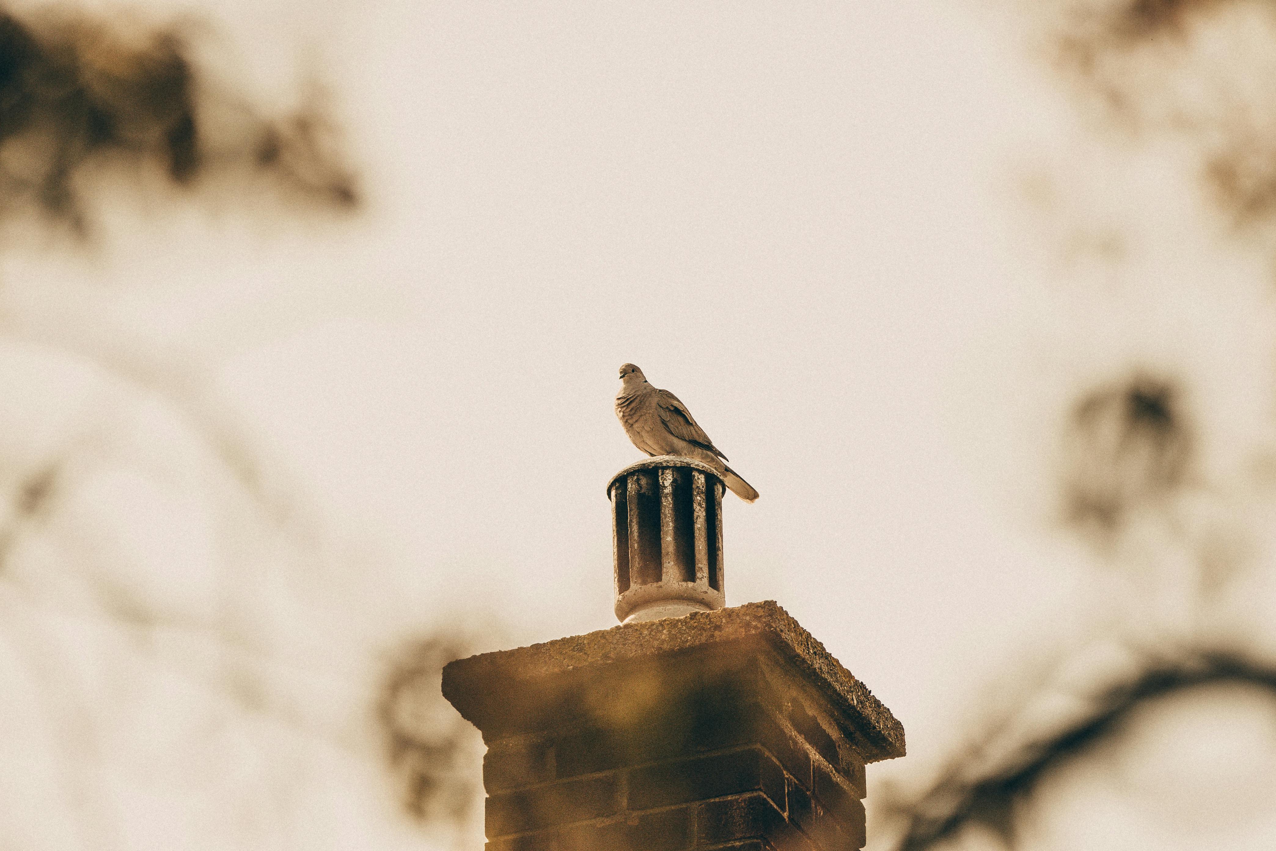 Professional Chimney Cap Installation Services in Winnetka, IL Expert Chimney Cap Installation in Winnetka, Illinois